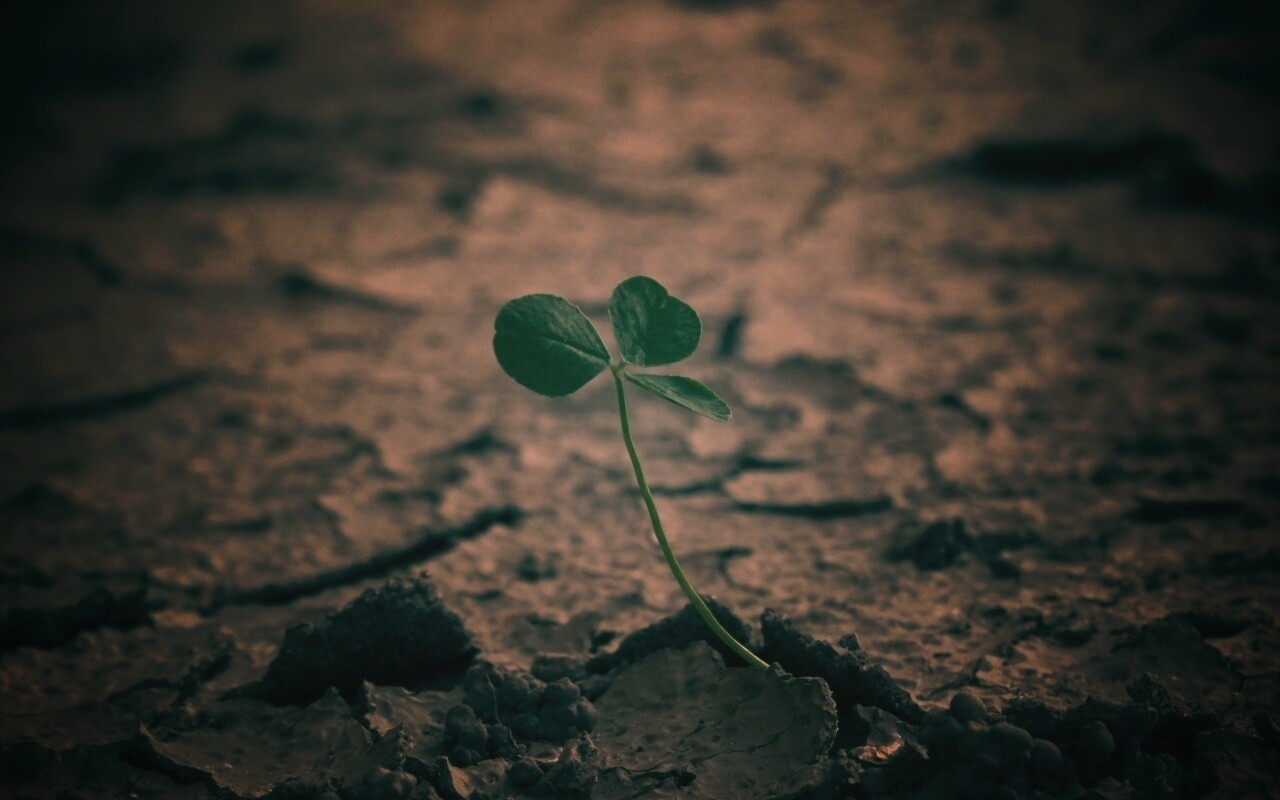 Сила природы обои