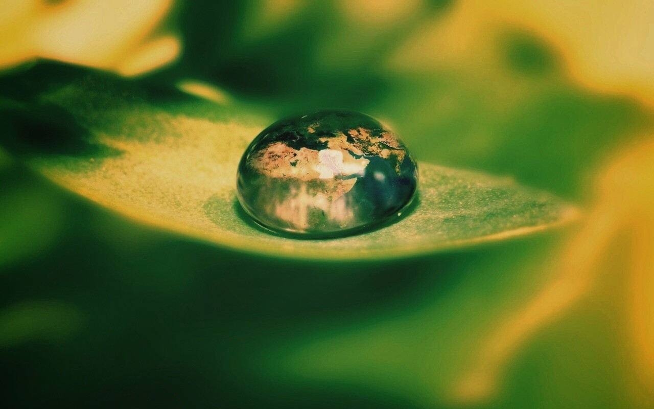 Целый мир в капле воды обои