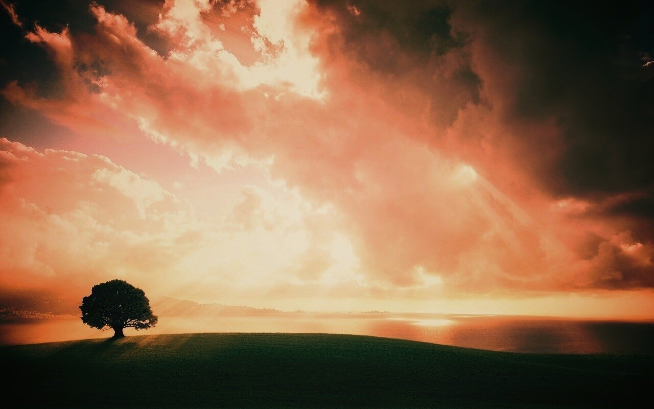 Холм и дерево обои