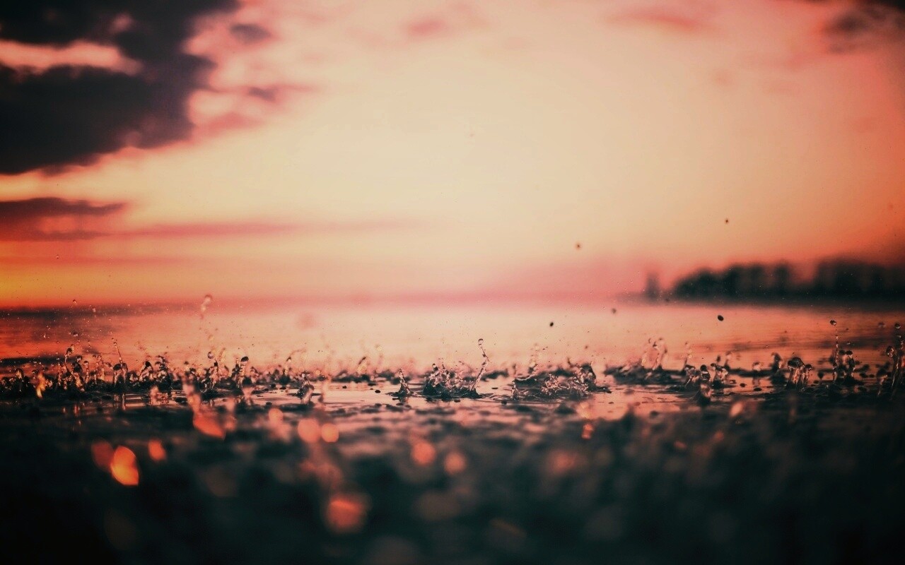 Дождь в макро обои