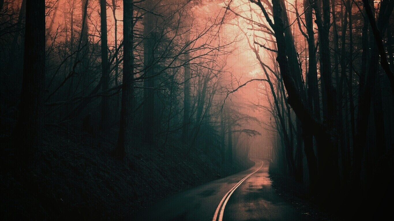 В туман обои