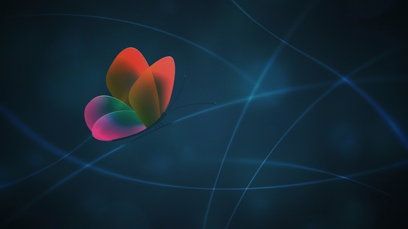 Бабочка с радужными крыльями обои