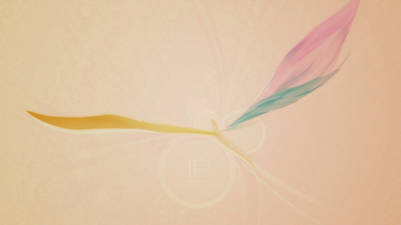 Силуэт птицы обои