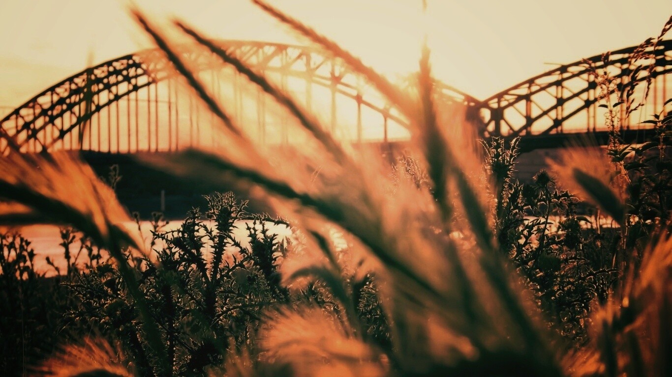 Железнодорожный мост обои