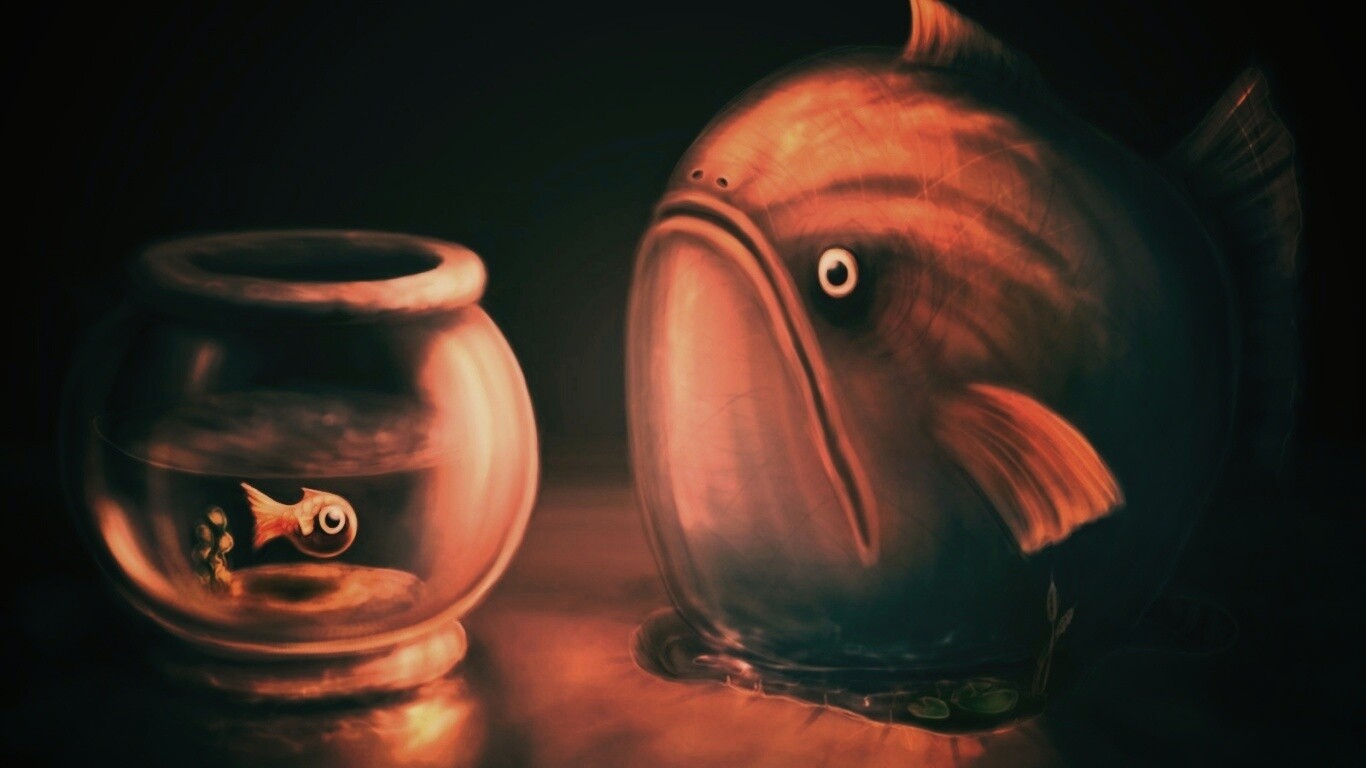 Большая и маленькая рыбки обои