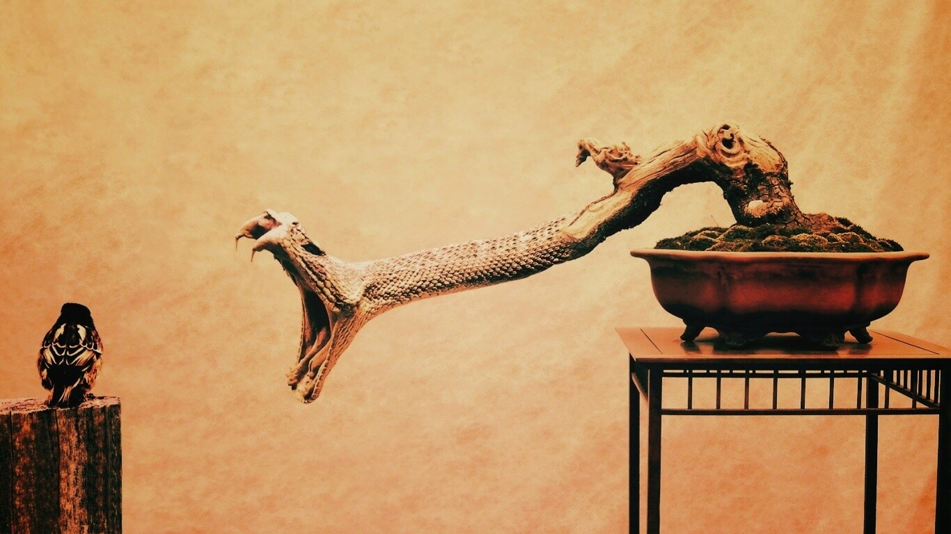 Змея-коряга напдает на птичку обои