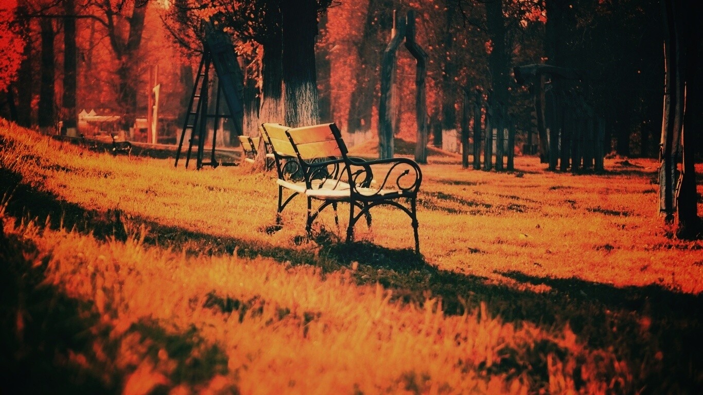 Скаймейка в осеннем парке обои