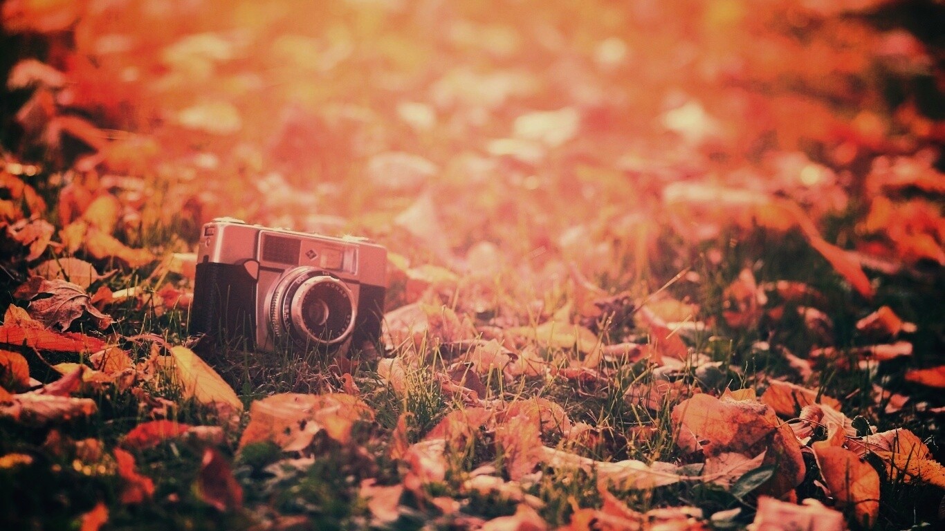 Старый фотоаппарат в траве обои
