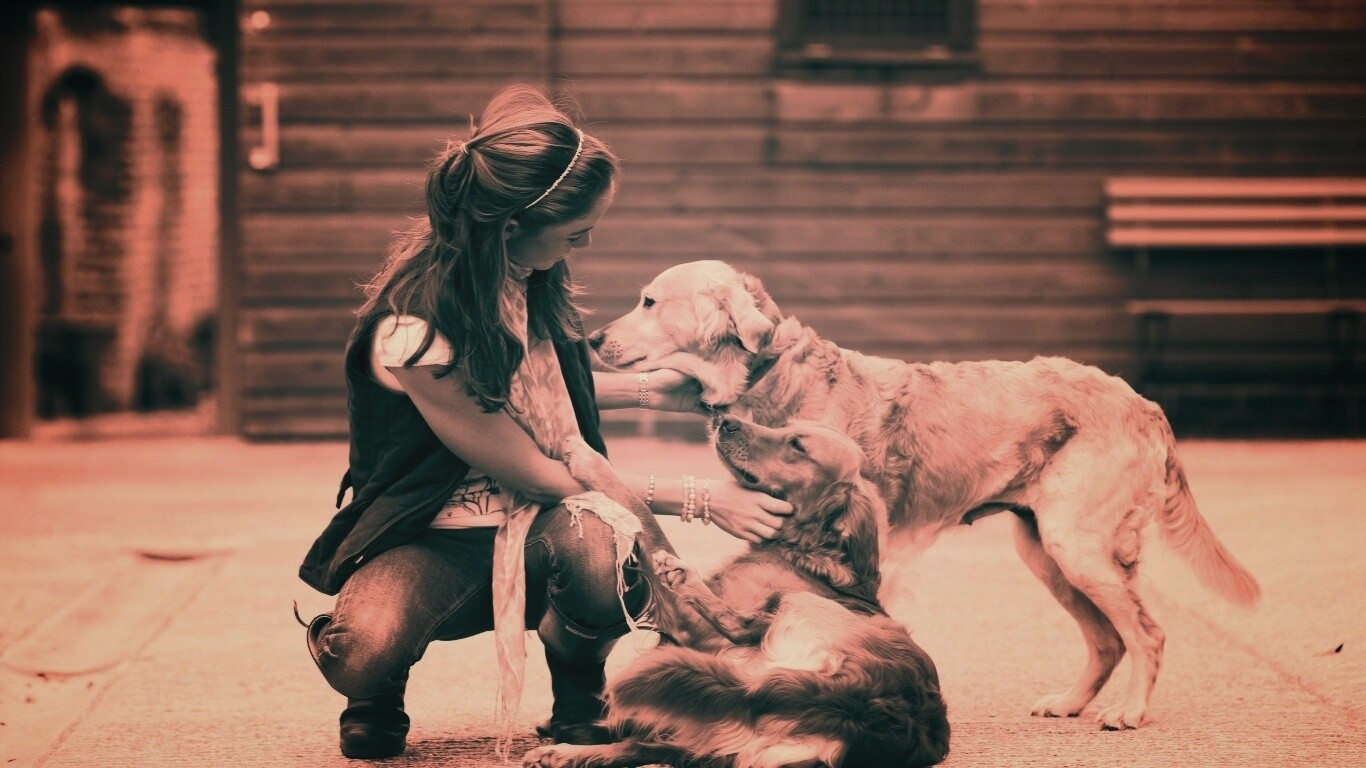 Девушка с собаками обои