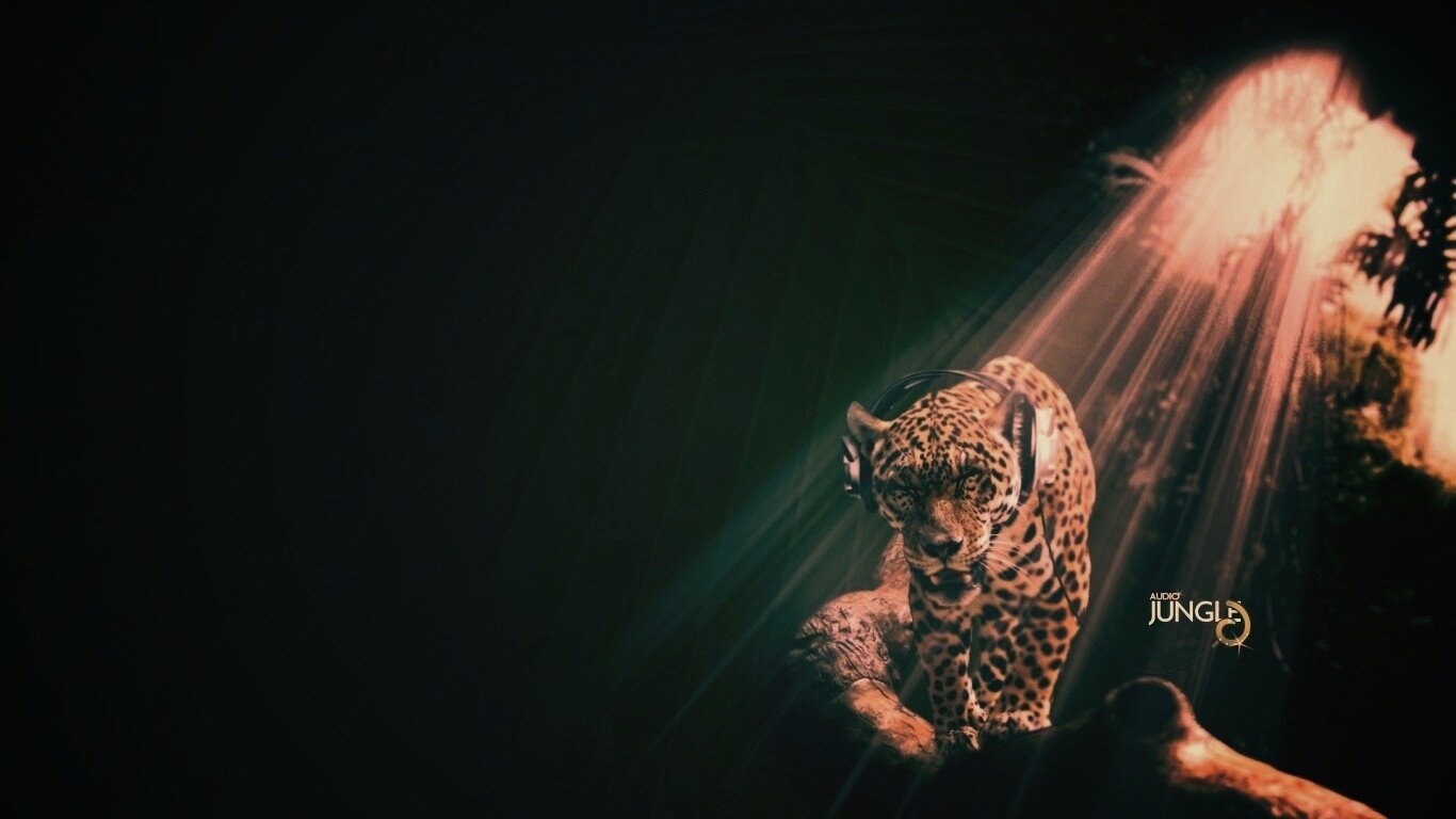 Ягуар в наушниках обои