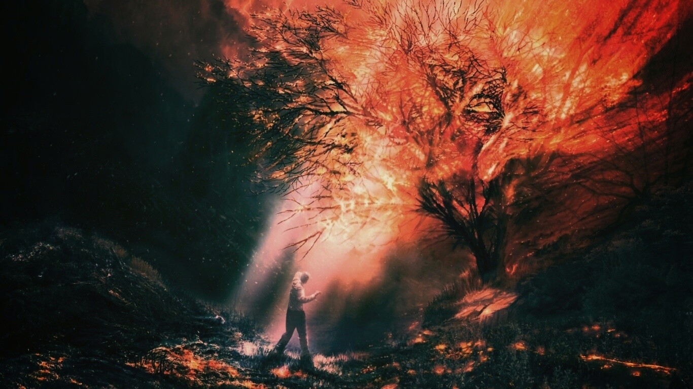 Горящее дерево обои