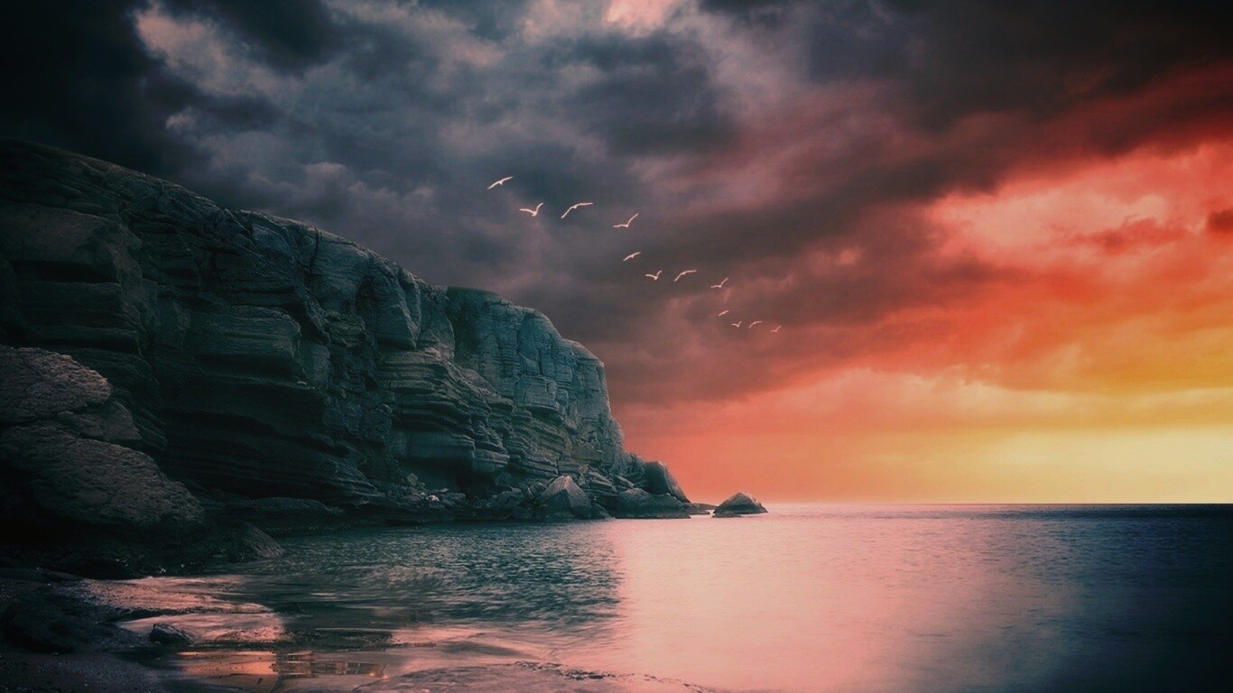 Чайки над скалами обои