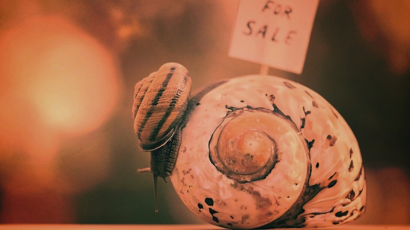 Улитка приматрвиает новый дом обои