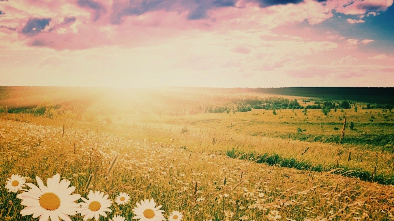 Летний восход обои