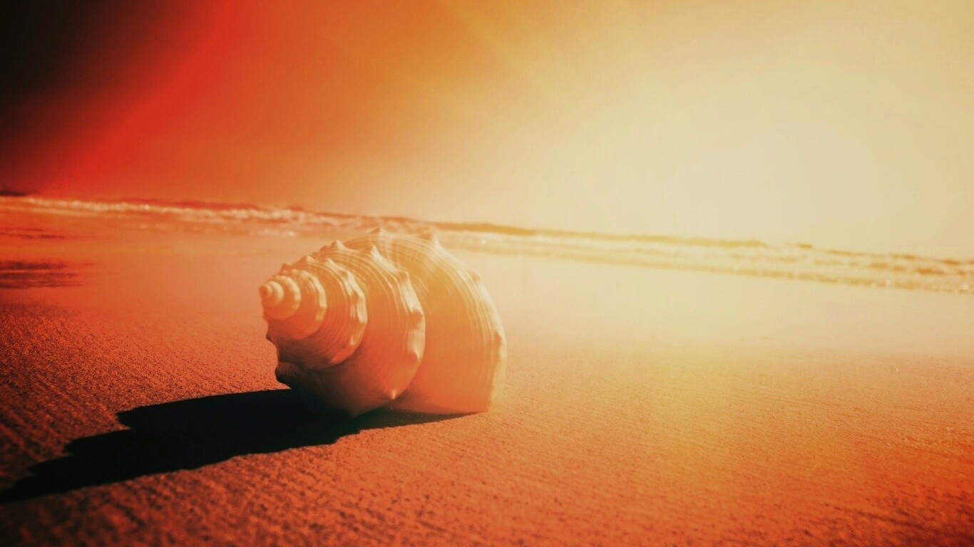 Золотистая ракушка обои