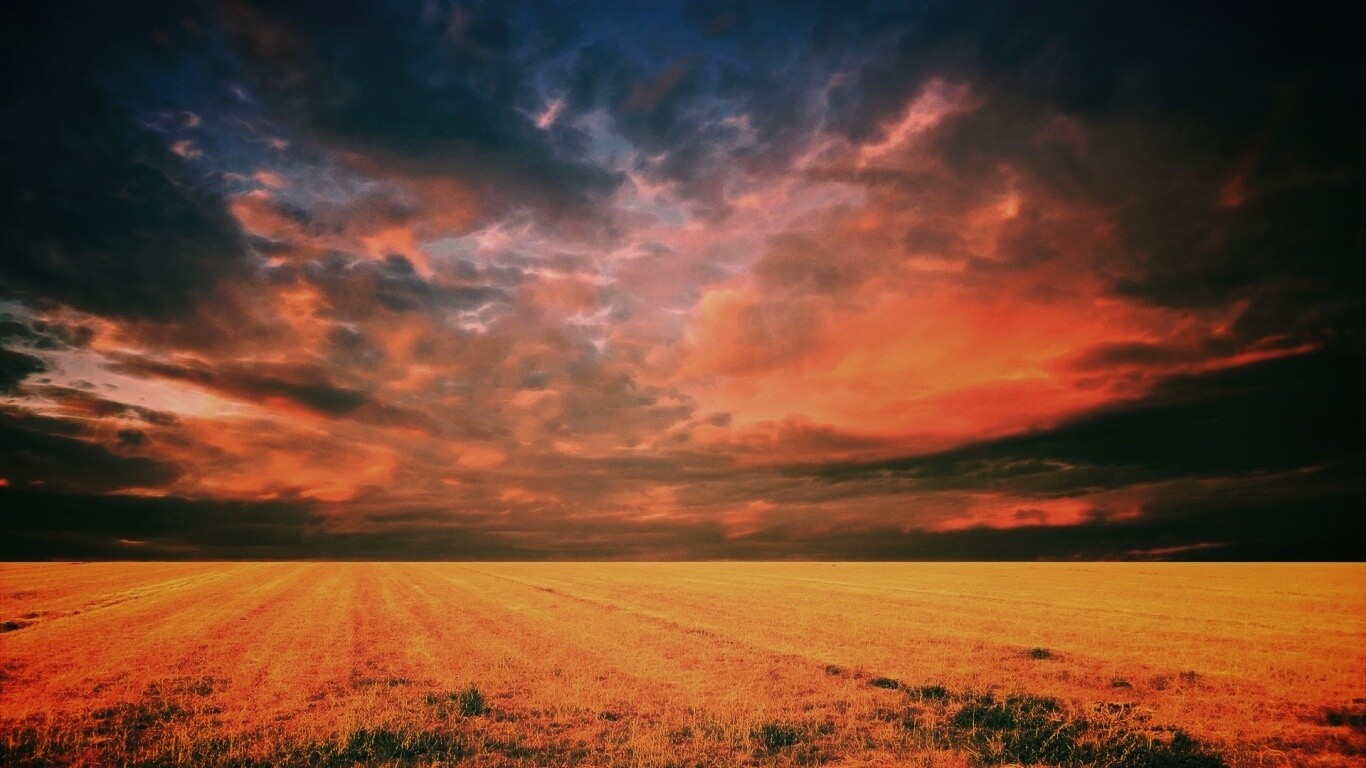 Тучи над желтым полем обои