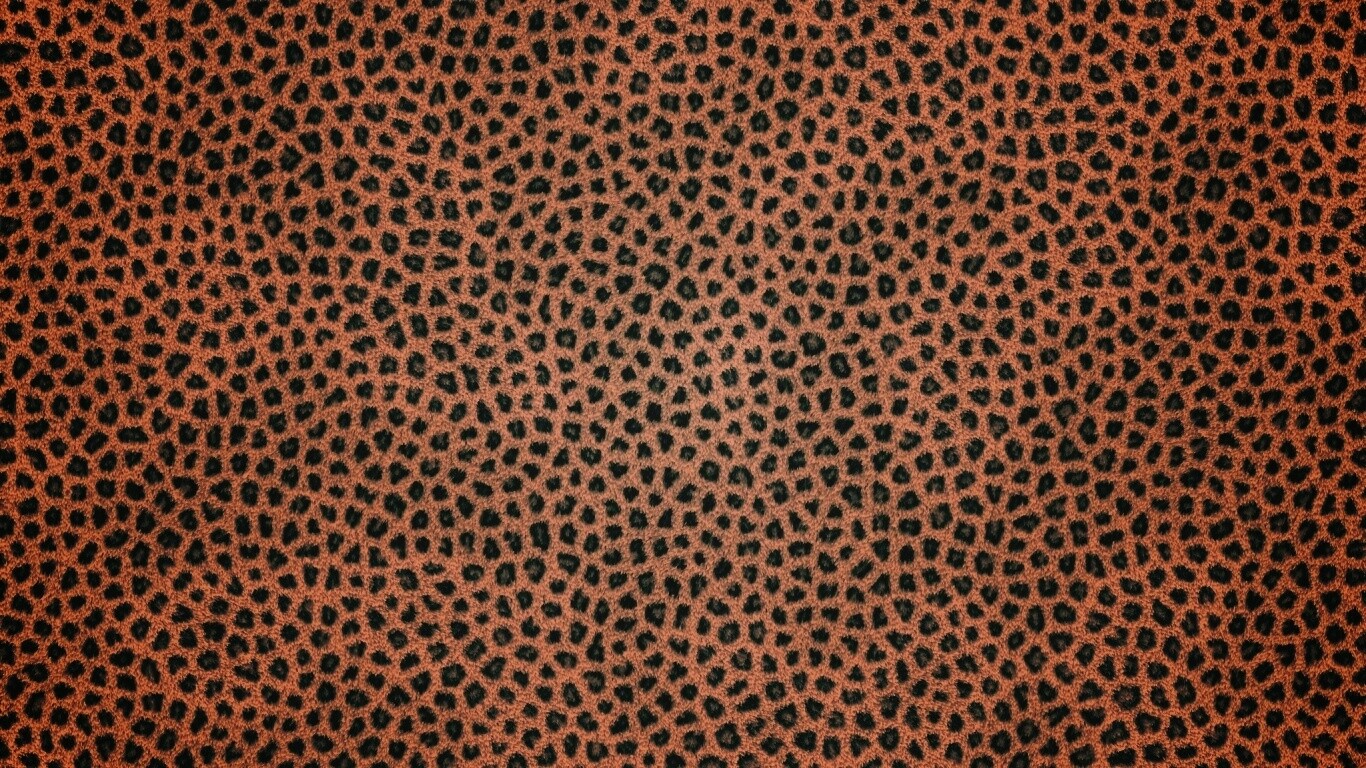 Пятнистая шкура обои