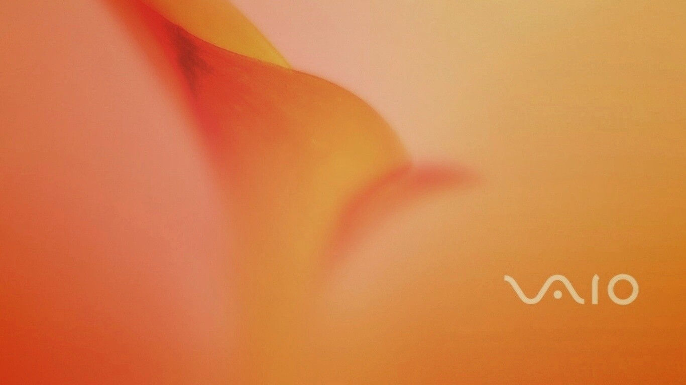 Цветок и логотип Vaio обои