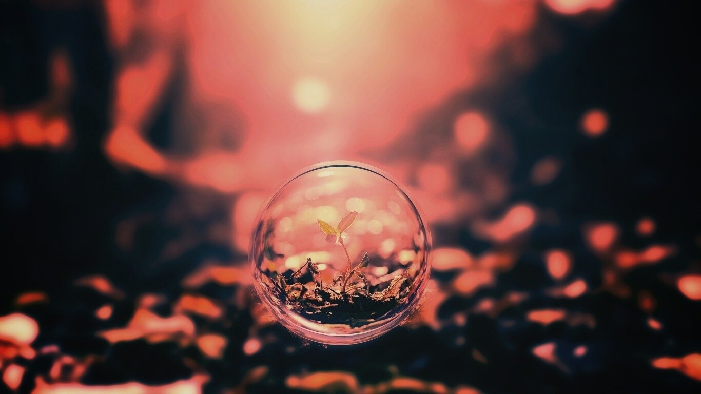 Росток в пузыре обои