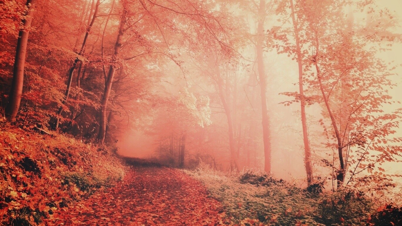Осенний мистический пейзаж обои