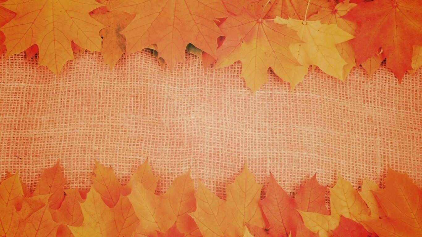 Желтые кленовые листья на холсте обои