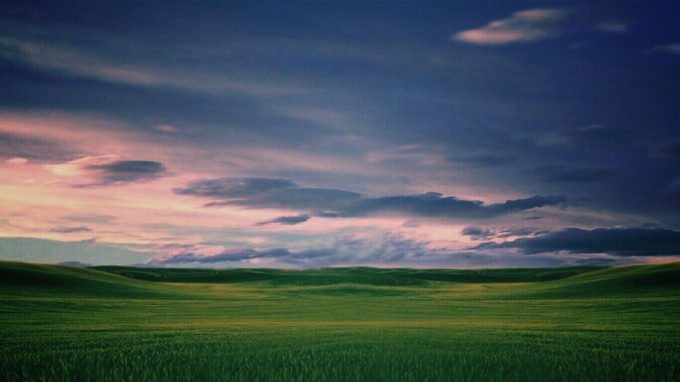 Зеленый луг обои