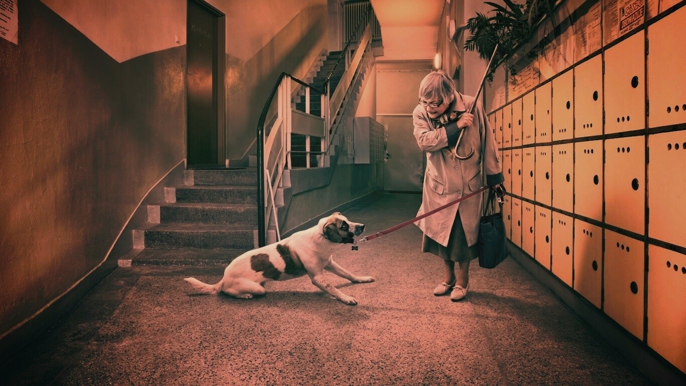 Непослушная собака обои