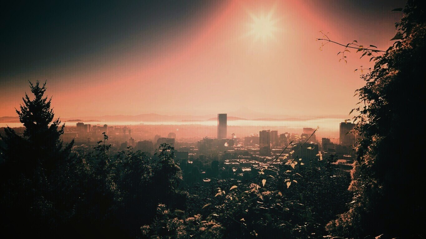 Утро в раю обои