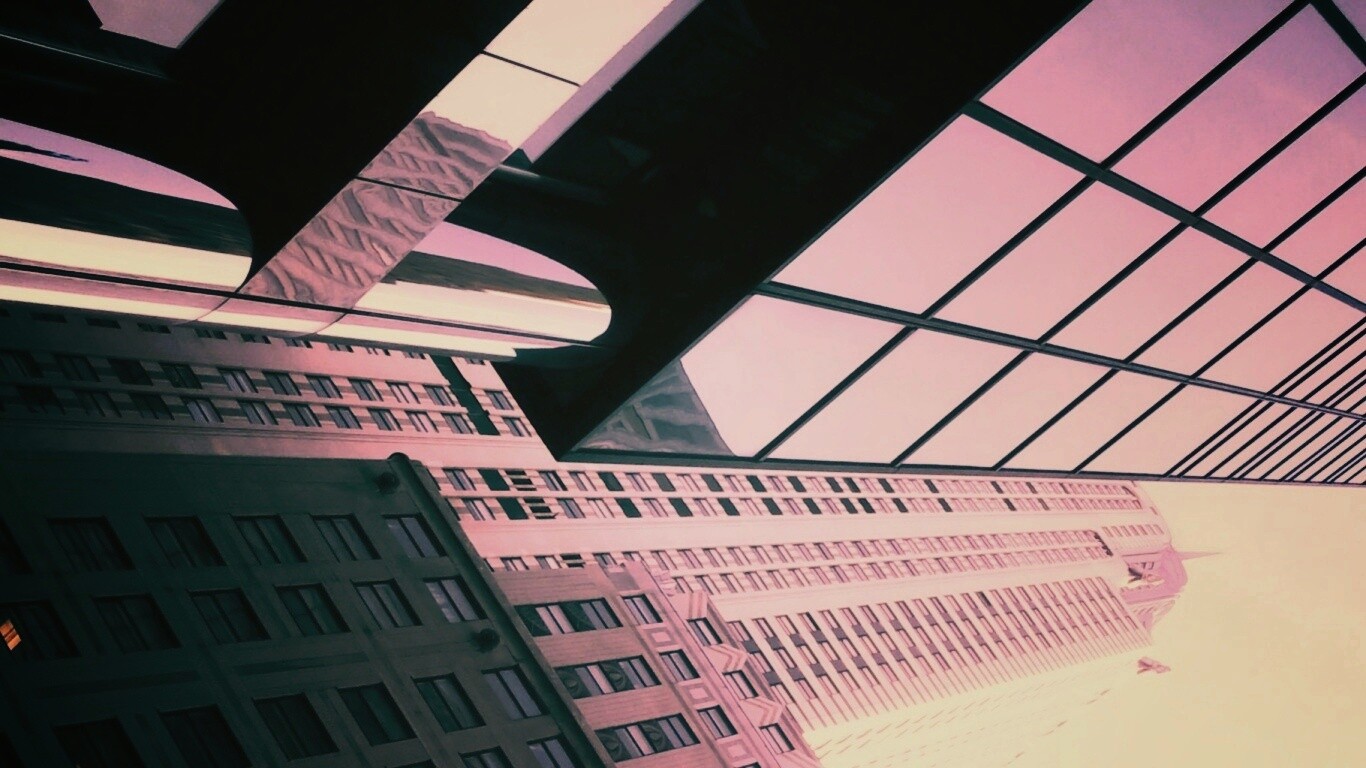 Взгляд вверх обои