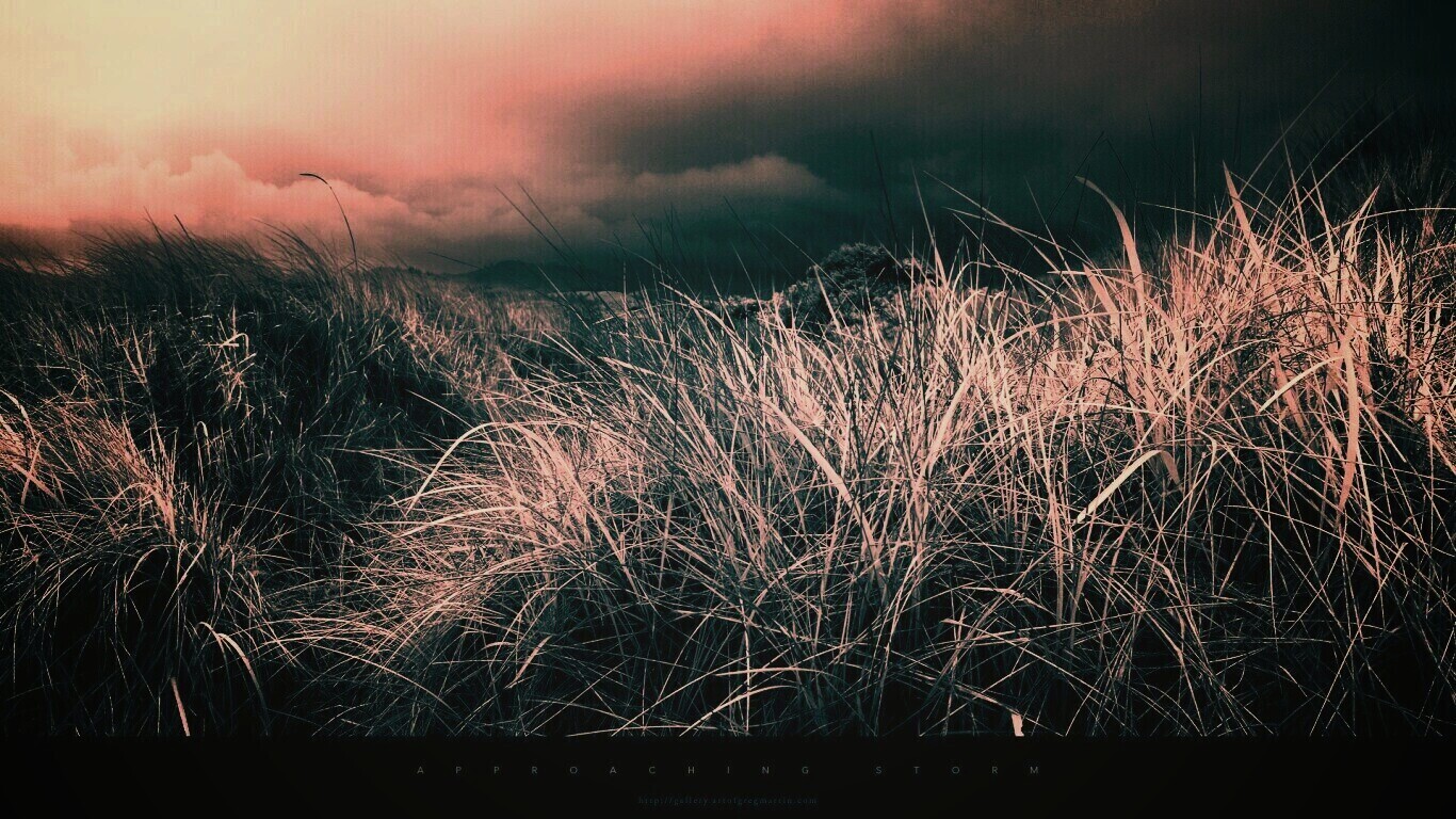 В ожидании шторма обои