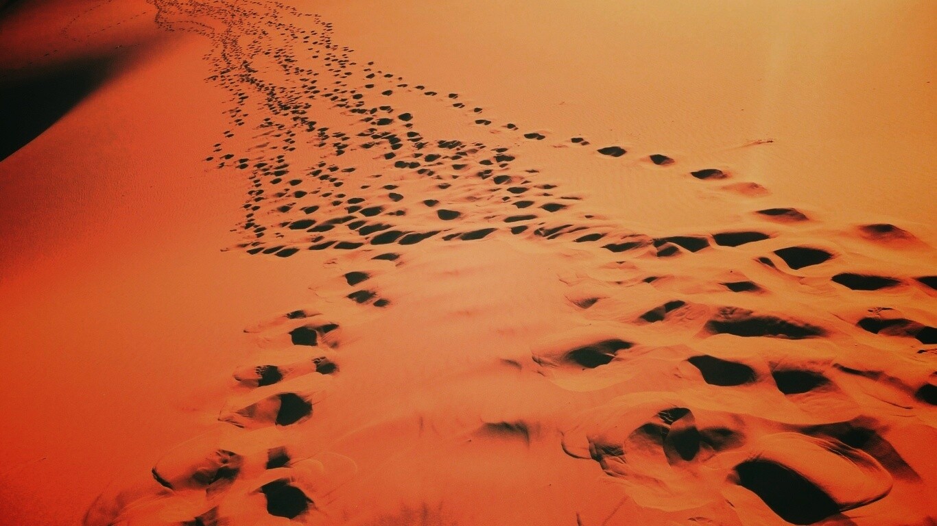 Следы в пустыне обои