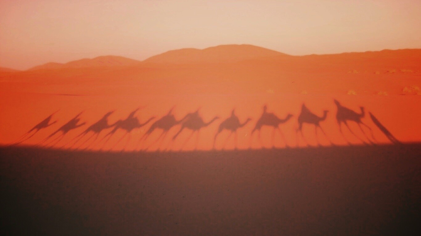 Караван обои