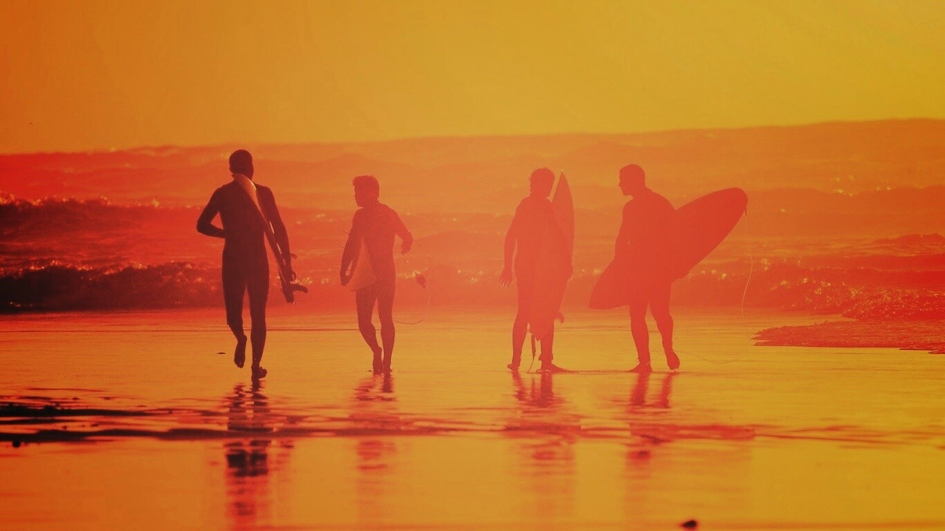 Серфингисты обои