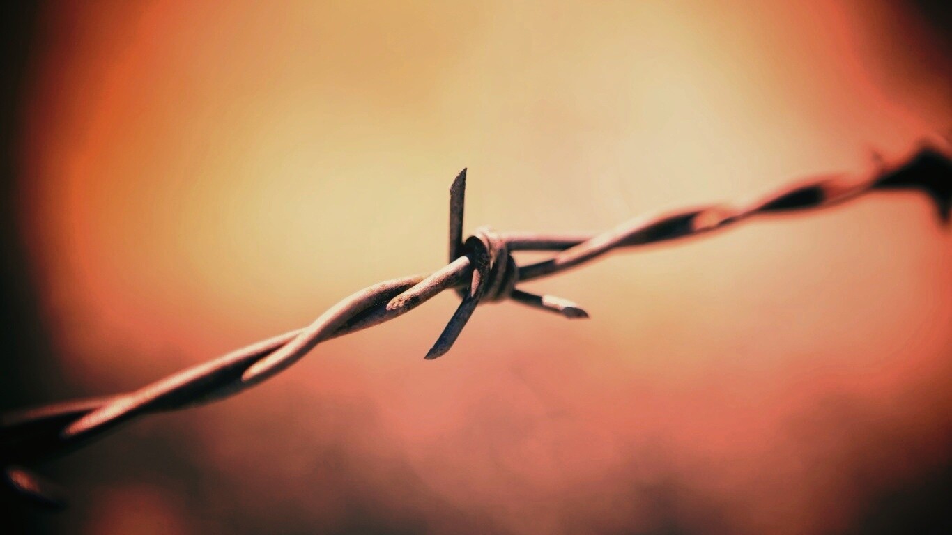 Фото колючей проволоки обои