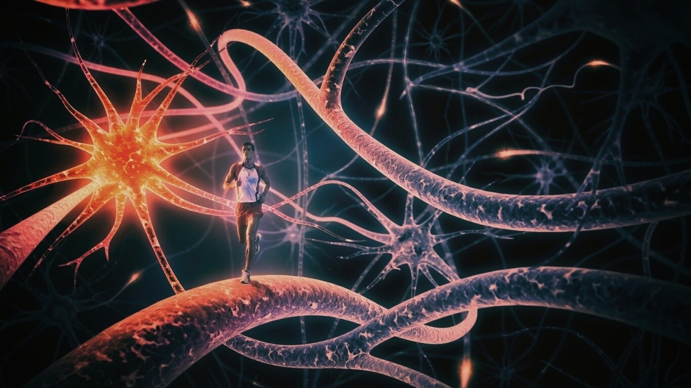 Бег мыслей обои