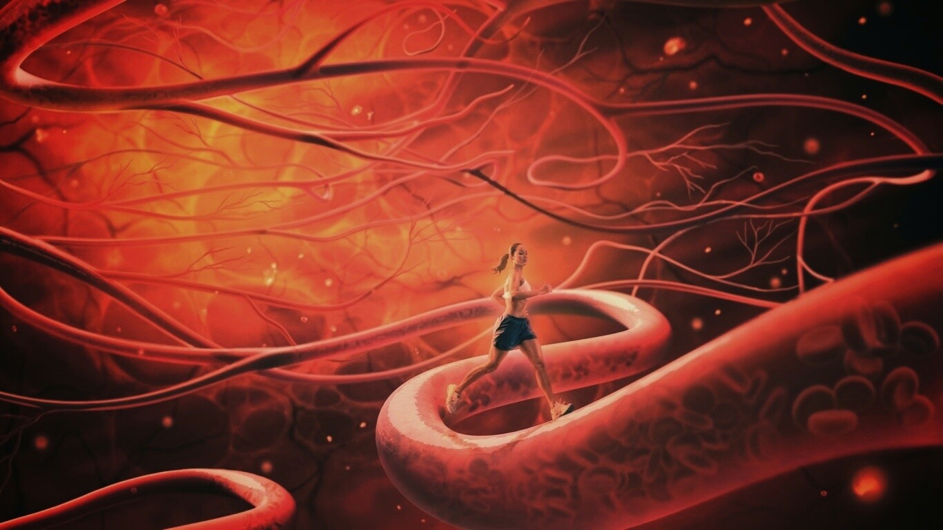 Бег крови обои