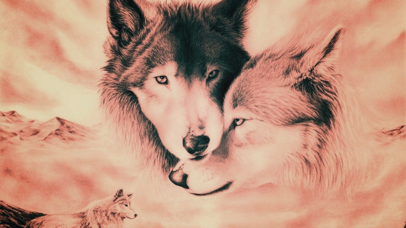 Волки обои