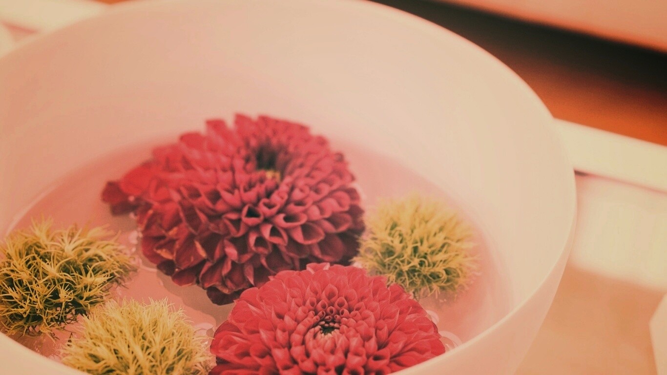 Чаша с цветами обои