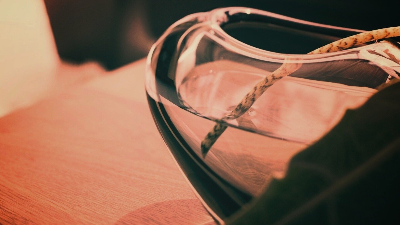 Ваза с листом обои