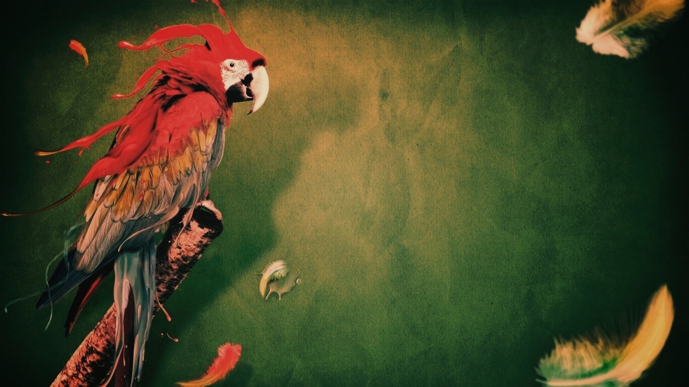 Попугай на ветке обои