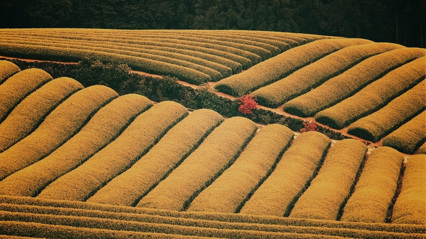 Красивые гряды обои