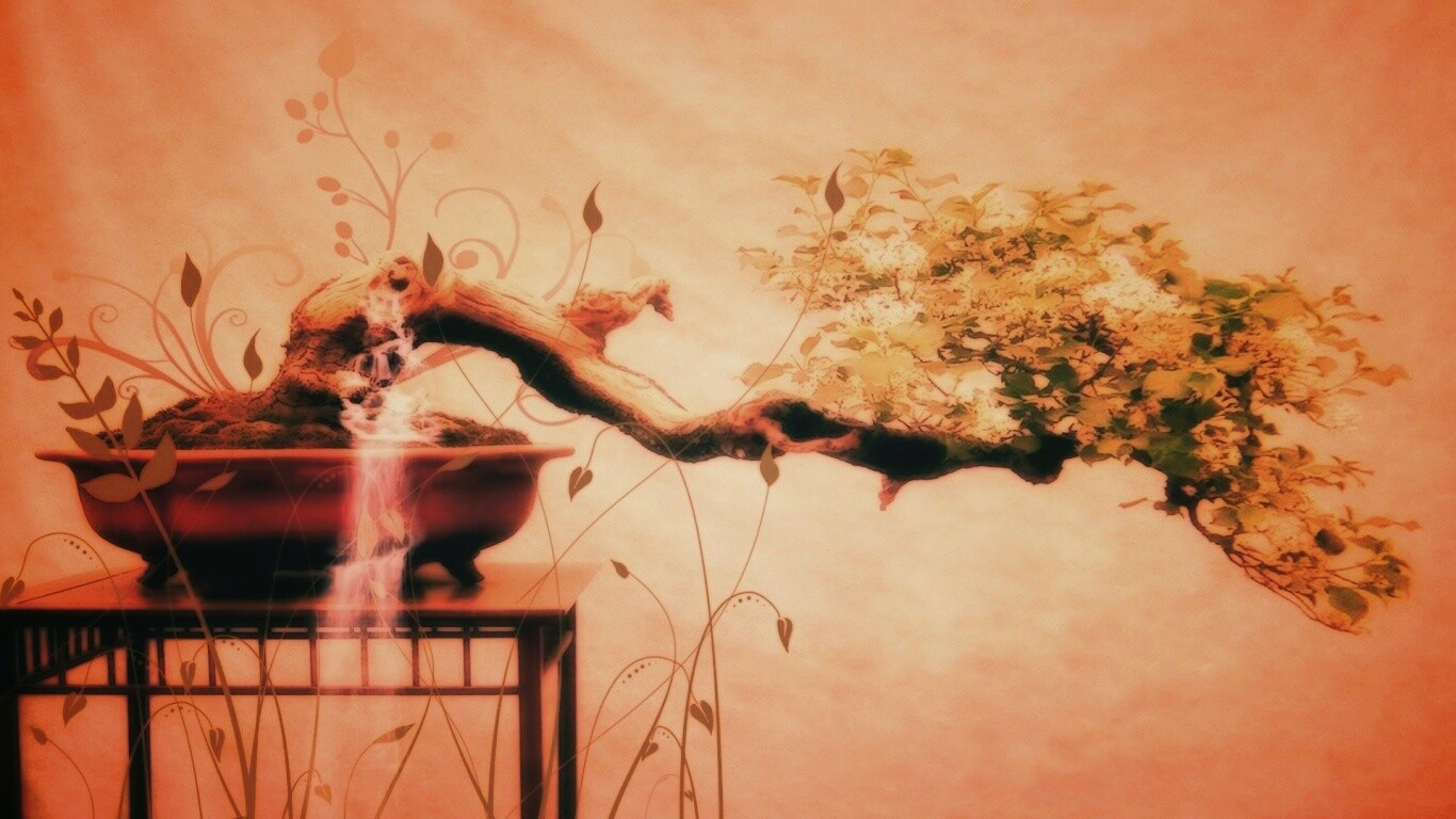 Карликовое дерево обои