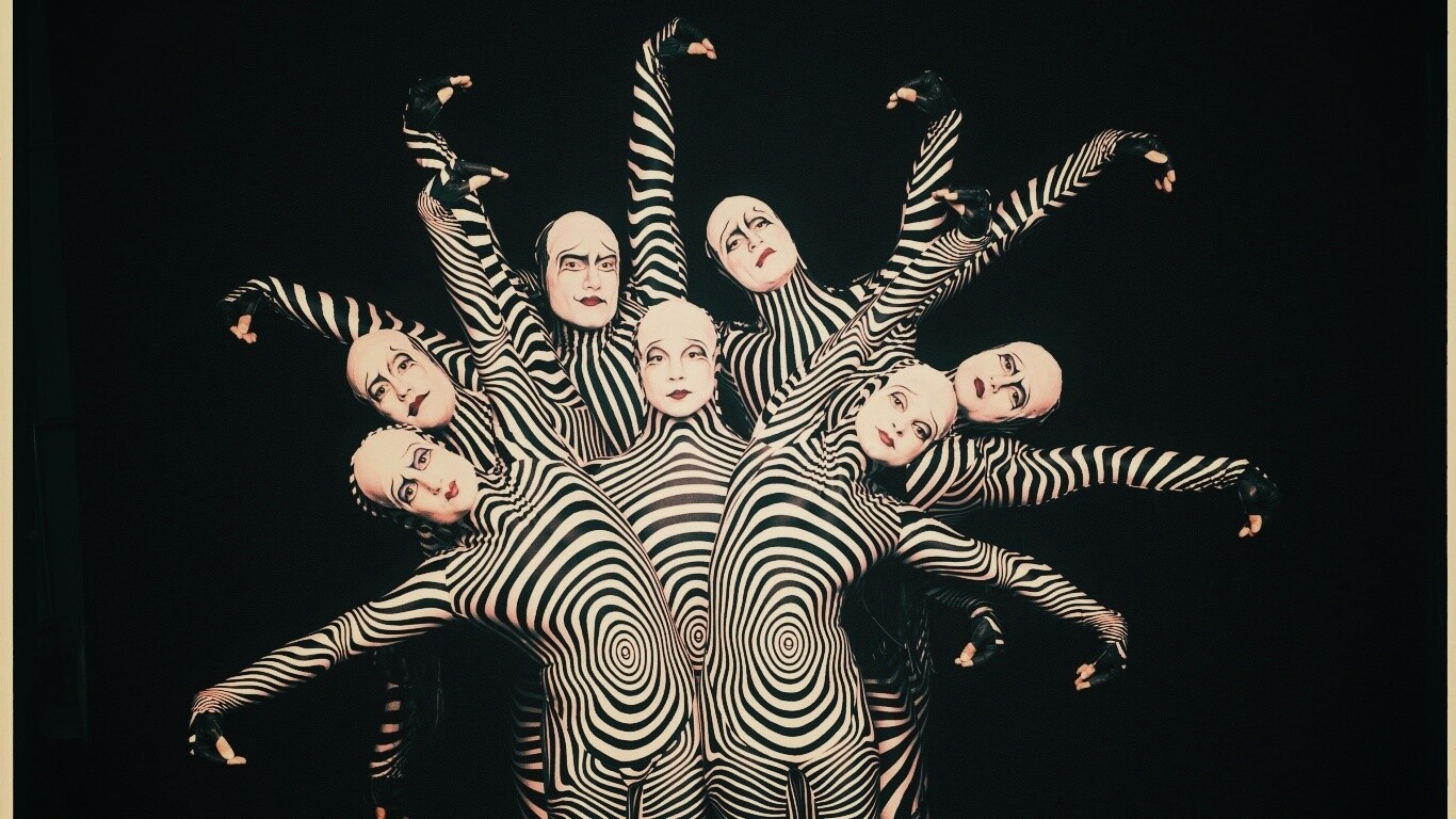 Зеброиды (актеры цирка дю солей) обои