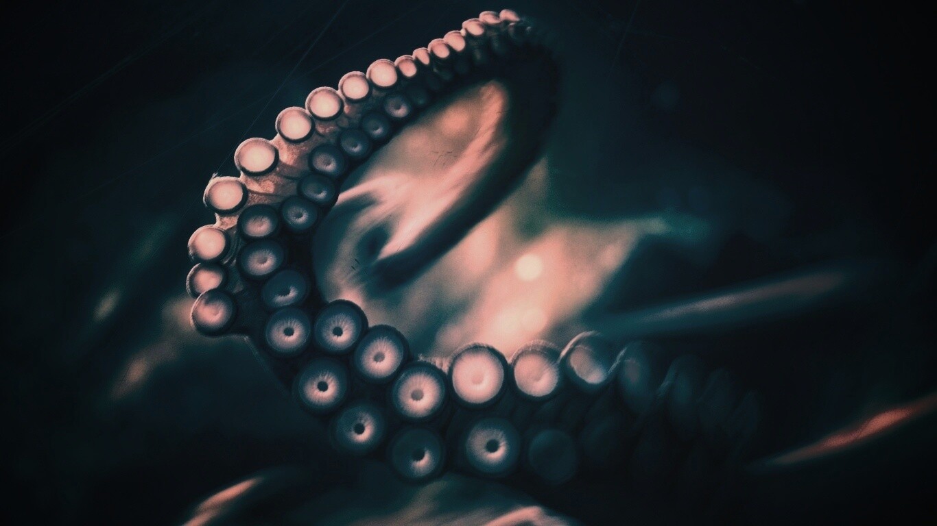 Щупальце обои