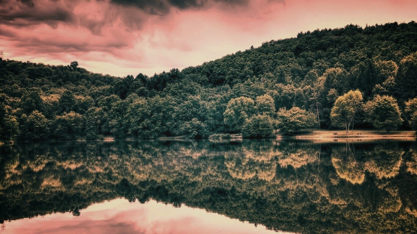 Лесной берег обои