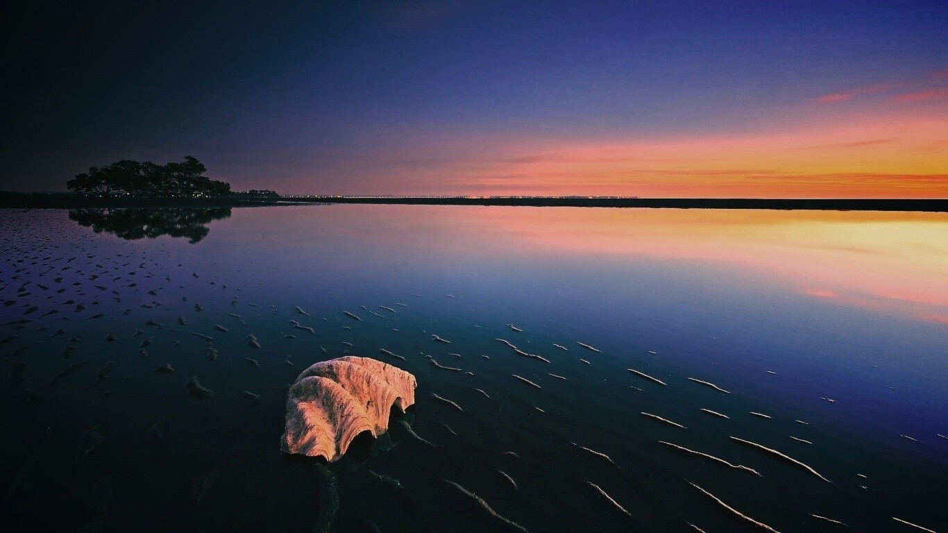 Закат на берегу моря обои