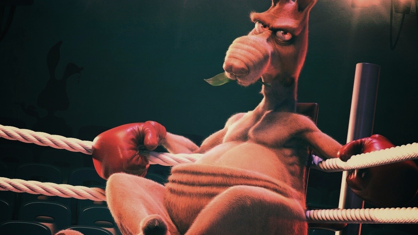 Кенгуру-боксер на ринге обои