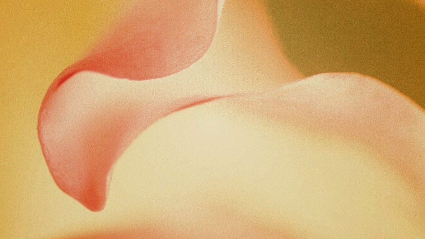 Оттенки природы обои