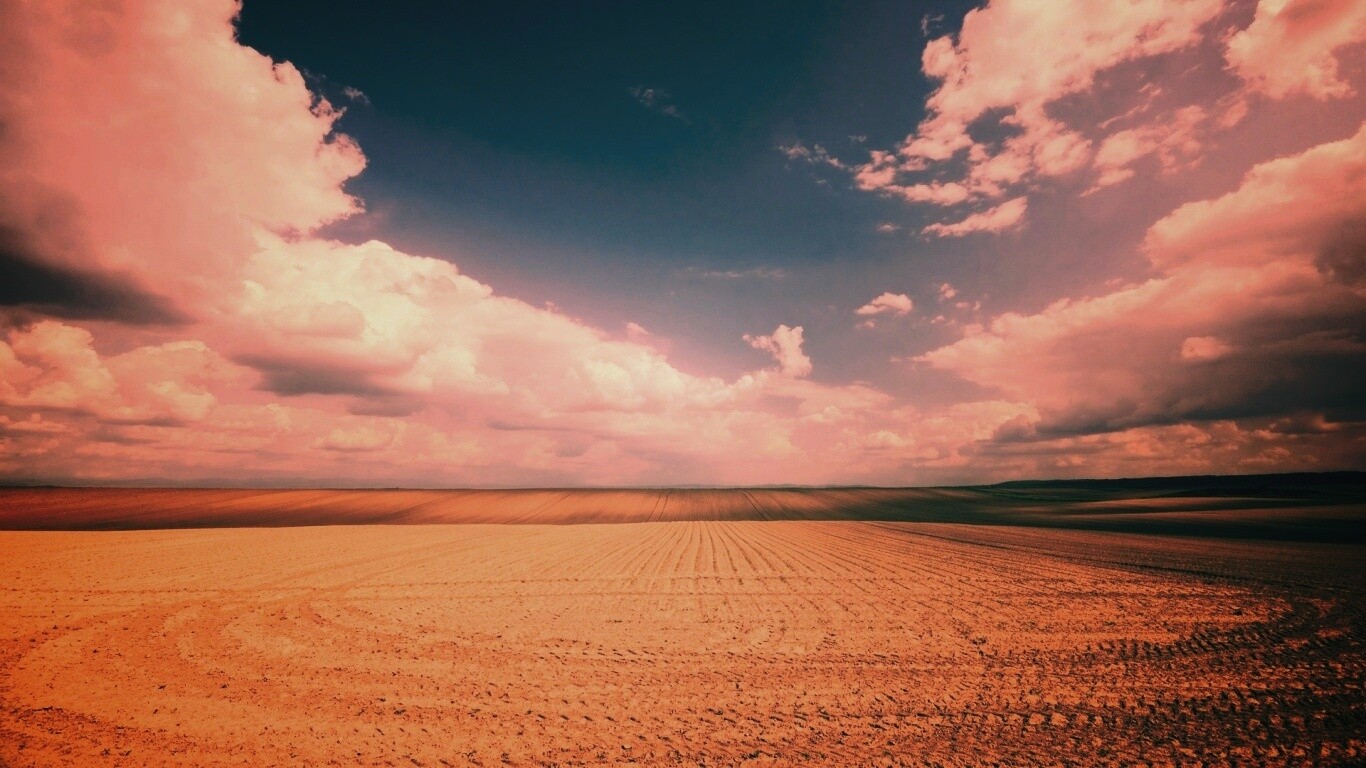 Незасеянное поле обои