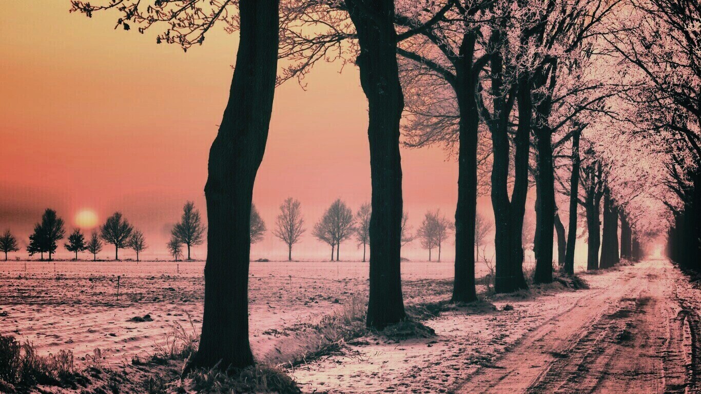 Морозное утро обои